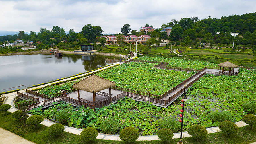 东莞：多举措破解流动党员管理难题，促进与城市发展共融