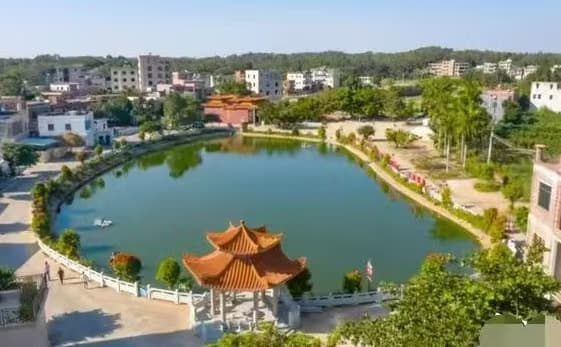 广东电白区沙院镇沙村：打造乡村振兴示范村的 “沙村样本”