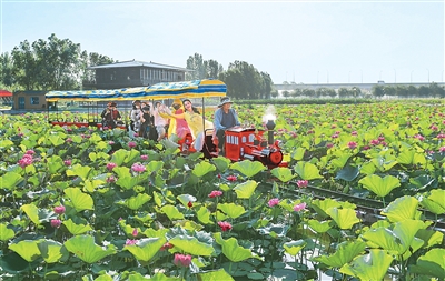 乡村文旅业态版图更大了