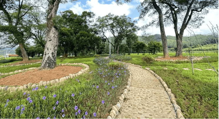 党建引领生态赋能 韶关流坑村绘就乡村振兴新画卷