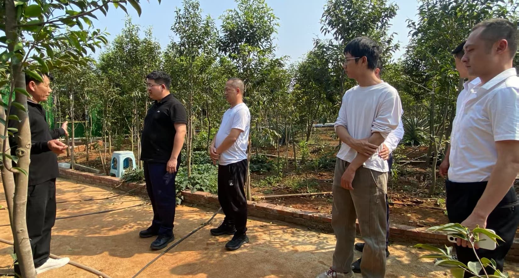 驻岭北镇帮扶工作队深入调研沉香产业 精准施策助力乡村振兴