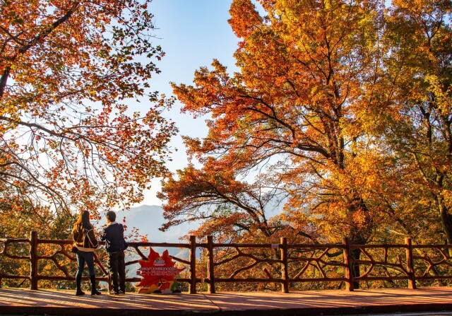 广州从化温泉旅游节启动！26项活动精彩纷呈