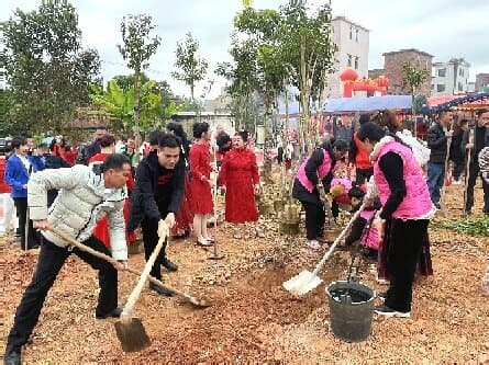 曲江区乌石镇：冬春发力，筑牢农田水利根基