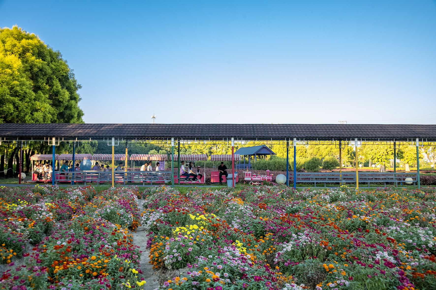 福建永春：“十里桃源长廊” 绘就乡村振兴新画卷