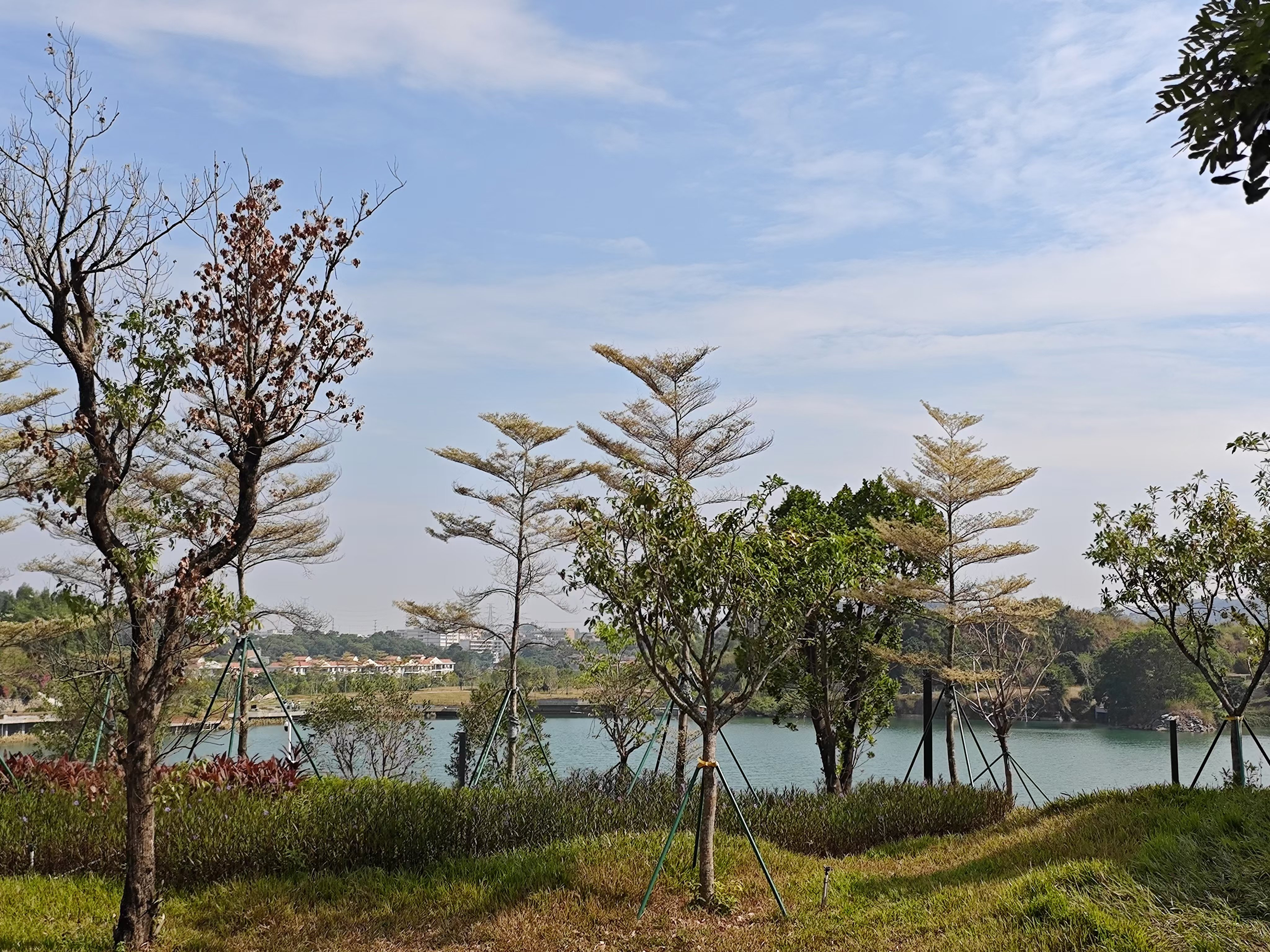 哈克镇启动政策宣传月活动，加强惠民政策宣传