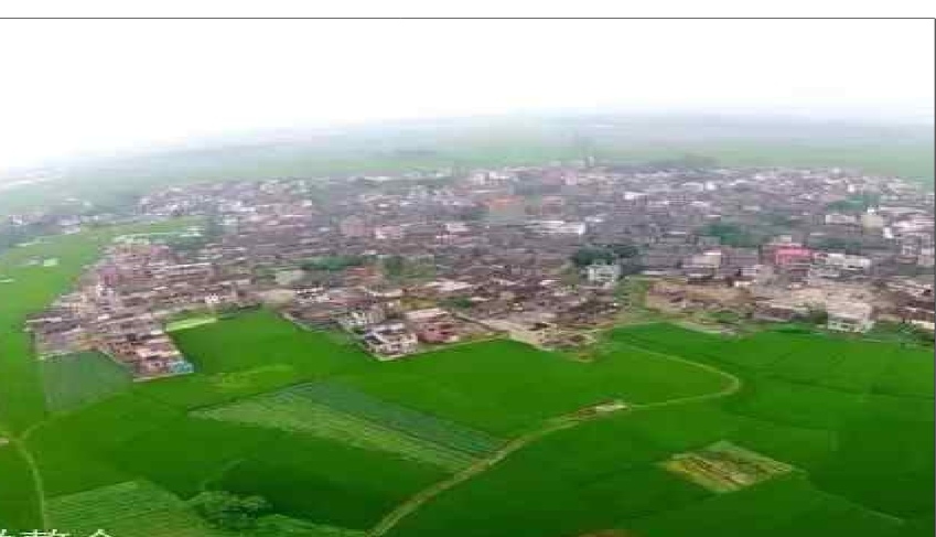 墨韵承古今：李道的书画艺术境界