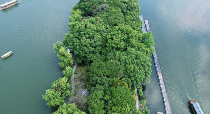 广东发布前7月经济数据！全省规上工业增加值增长5.7%