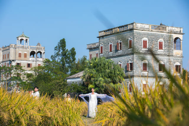 以农促旅，夯实农文旅融合基础 | 开平农文旅融合深调研