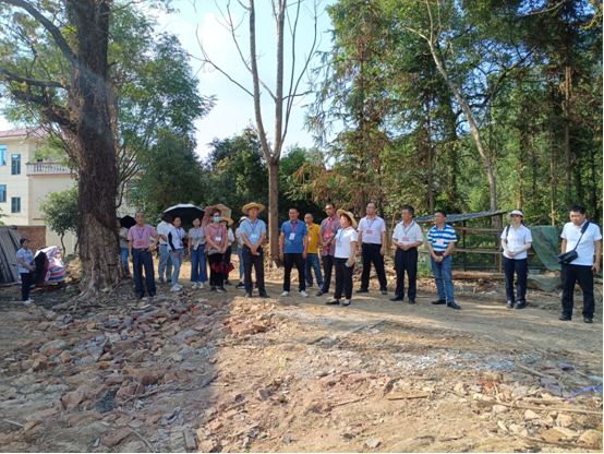 曲江区沙溪镇人大调研东华村典型村建设工作