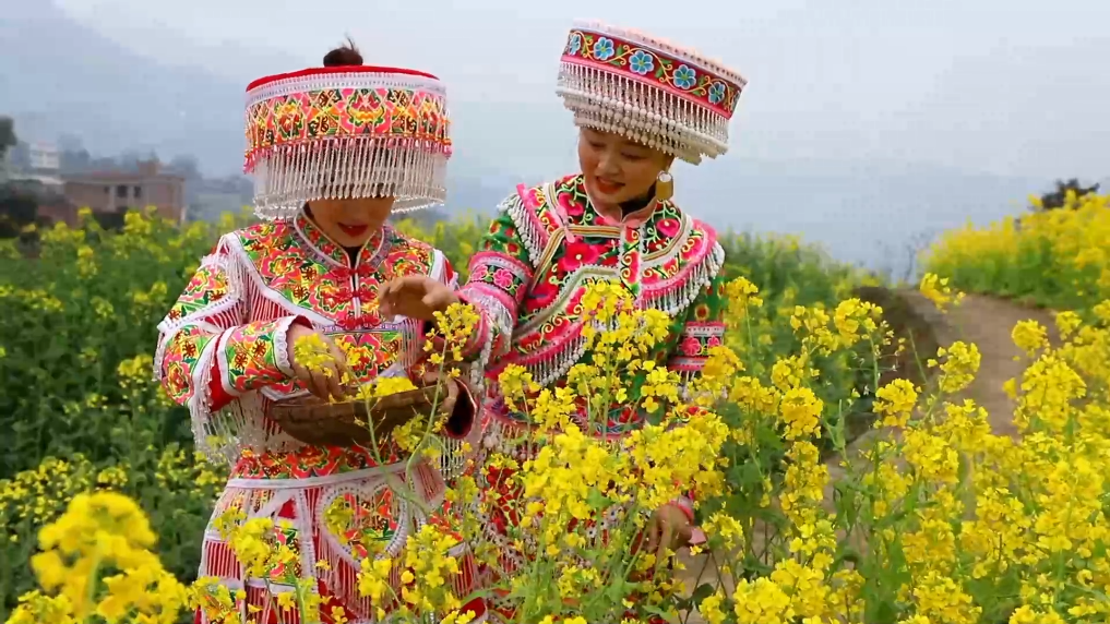 “山水静苑” 情牵万家